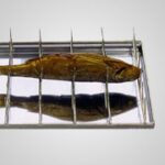 Tropfblech GN (Edelstahl) / drip pan for HELIA Gastronorm